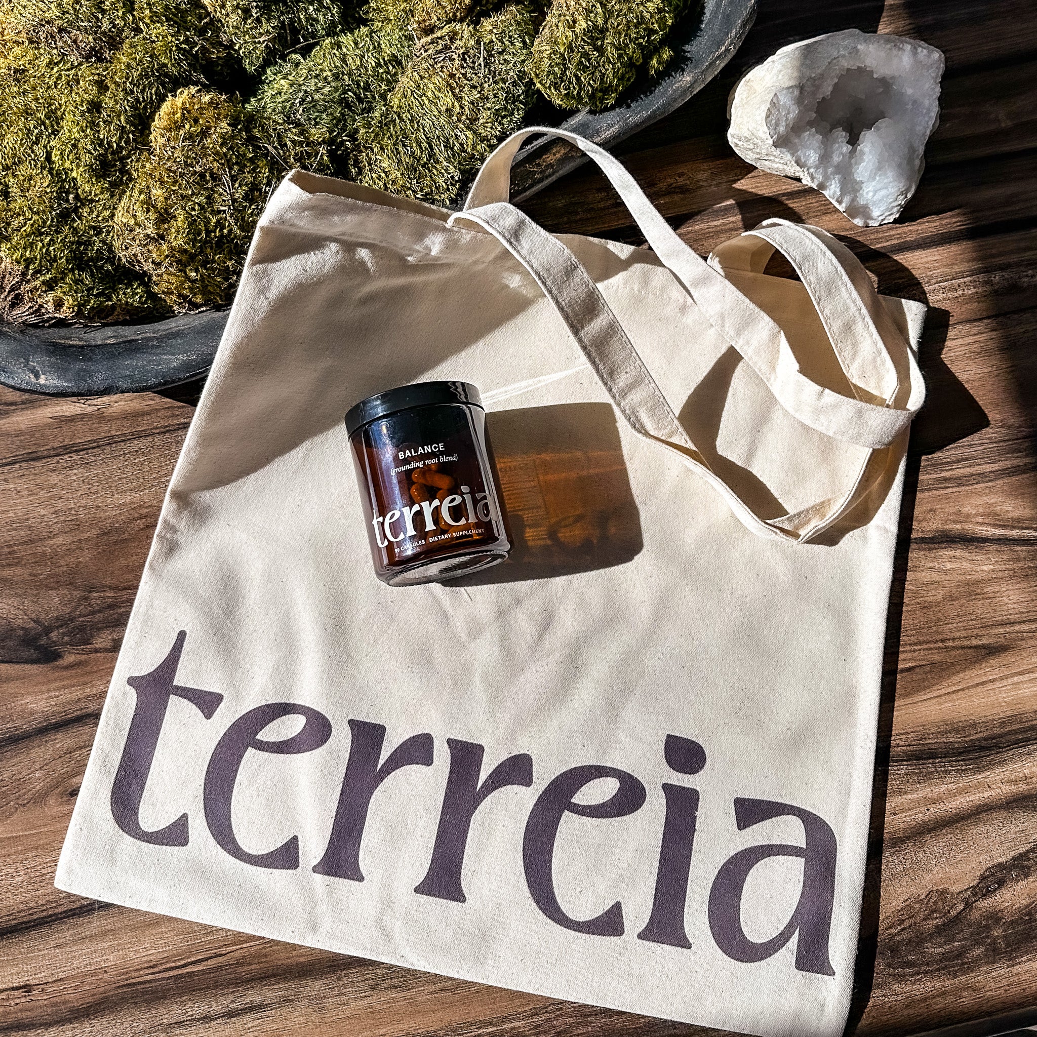 terreia tote bag